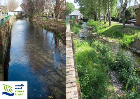 Before and after - upper Wandle - SERT